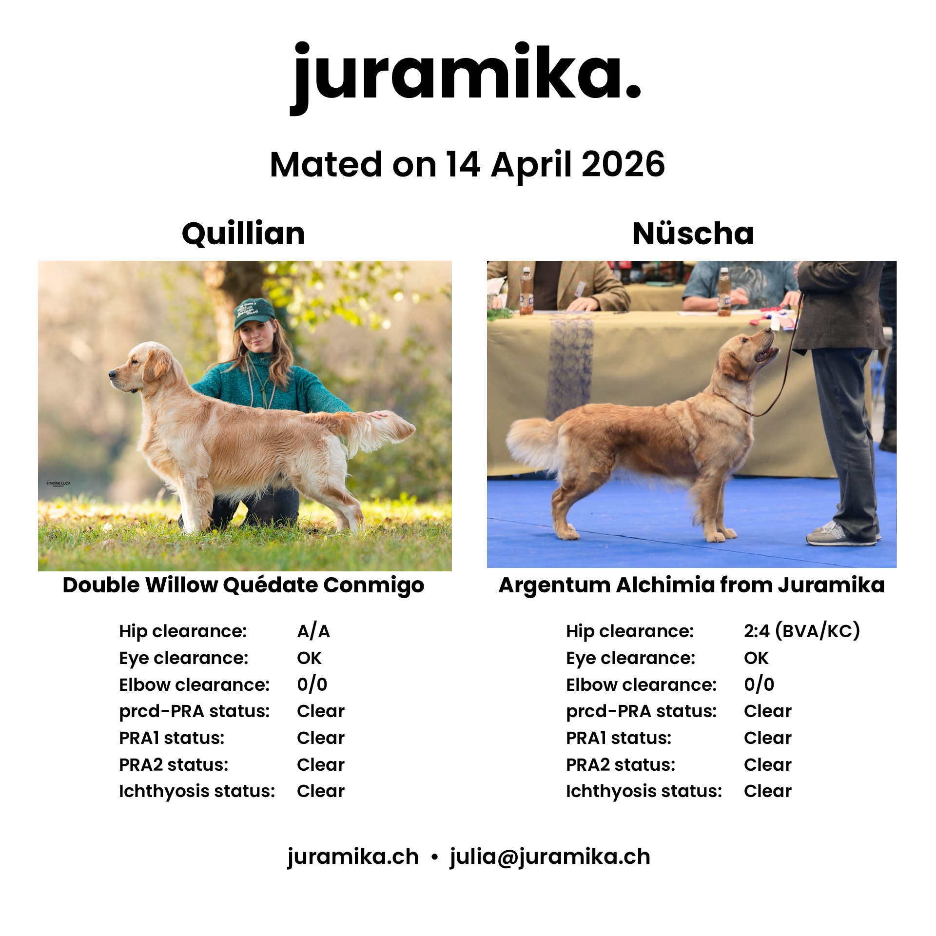 Nusha and Quillian